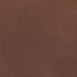 97ca1c89-aefe-448e-bfd8-d32030cd86e1