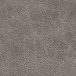 ca6e941d-014b-4875-b7fd-e86973e15e42
