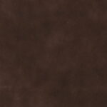 ba455db2-1f39-481a-819d-7c0e33023b97