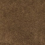 b6b1dffb-e8d6-4120-a7d6-8097ae129054