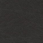 1e41fb4b-0b90-4166-a4c6-2ad099d34856