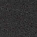 d6e9d156-4ce7-4043-a976-c1bc57b5446e