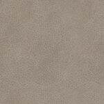11ae5644-dfec-4560-a8a1-ff5af3ef8ca9