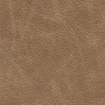 ca6e941d-014b-4875-b7fd-e86973e15e42