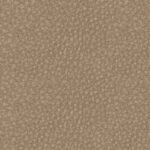 5a091918-b2e2-4e3a-825c-50040a6b1265