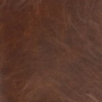 a3da8203-dc22-4169-aefd-ca76b279c805
