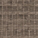 d023c657-0935-427f-8a50-361e5dabe202
