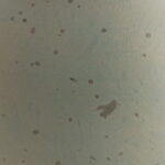daa8571a-04a9-4829-9174-0f5d7ca8b9be