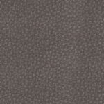 5a091918-b2e2-4e3a-825c-50040a6b1265